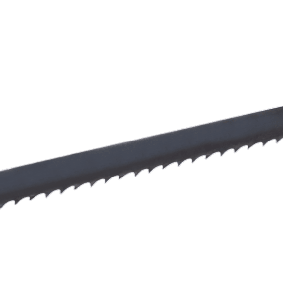 Karbon Şerit Testere