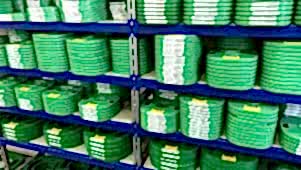 Junior Top Şerit Testereler